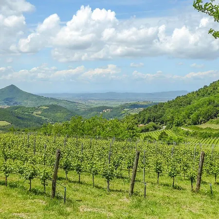 2 Bedroom Gorgeous In Vo Euganeo Holiday home *